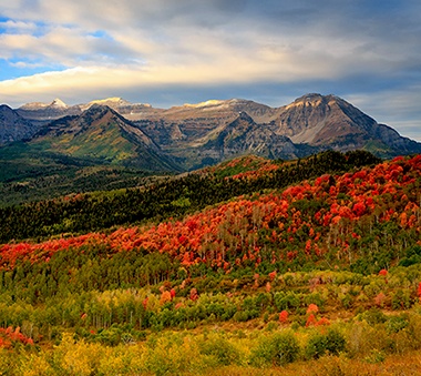 Mount Timpanogos